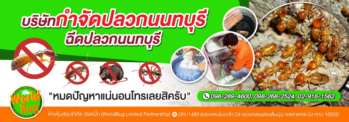 กำจัดปลวก นนทบุรี