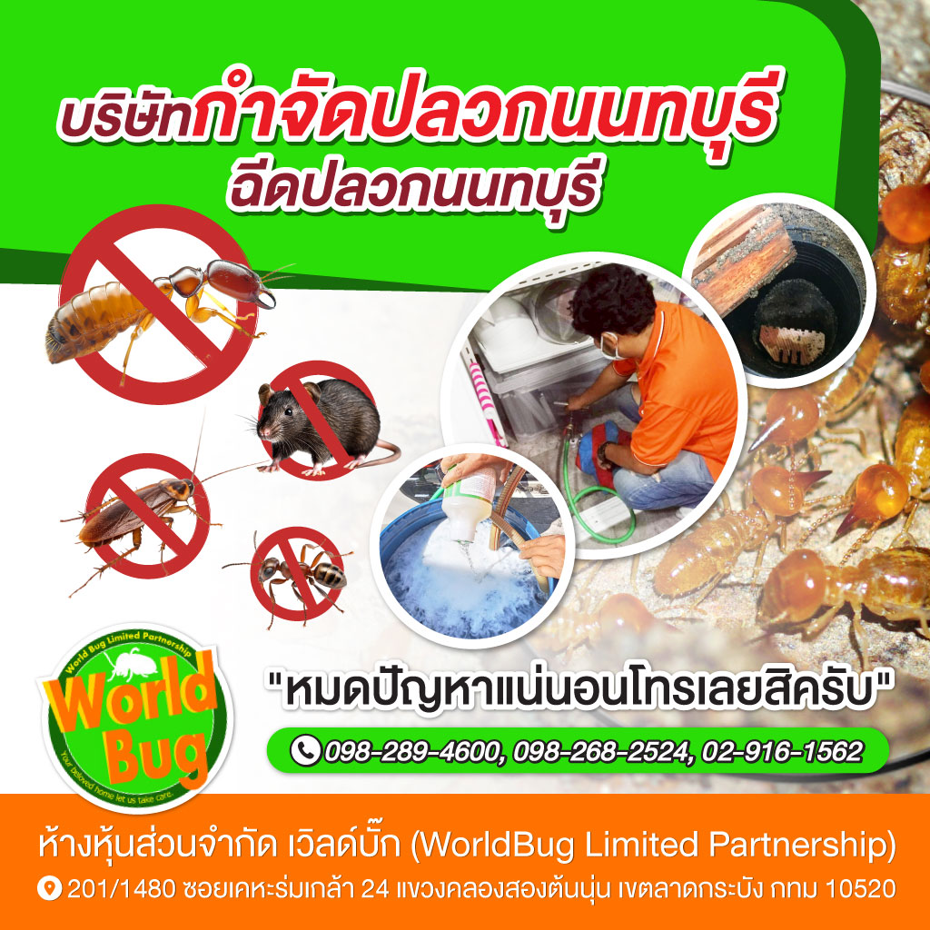 กำจัดปลวก นนทบุรี