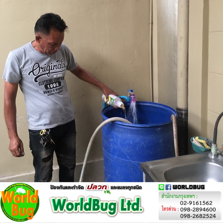 บริษัทรับกำจัดแมลงสาบใกล้ฉัน นนทบุรี บริการกำจัดแมลงสาบ ราคาถูก